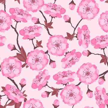 Spring flowers cherry natural seamless pattern.