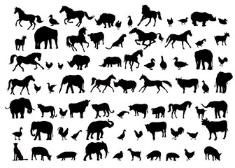 Animals & Birds Silhouette set - vector