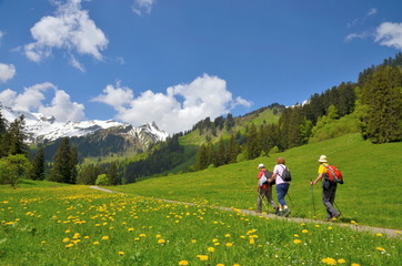 Senioren wandern in den Bergen - obrazy, fototapety, plakaty