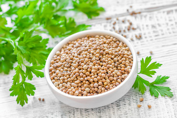 Coriander