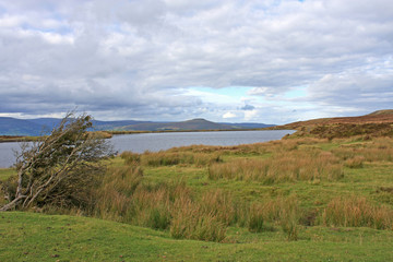 Pen-Fford-gogh pond, Wales