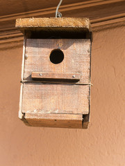 Bird house