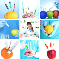 Genetic engineering laboratory. GMO food concept