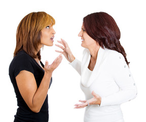  portrait of two angry mad woman fighting complaining each other