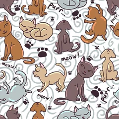 Stickers meubles Zoo Cute seamless pattern with funny kittens