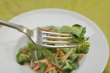 avocado salad