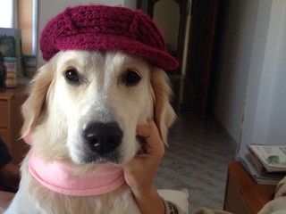 luna con gorro