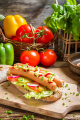 Closeup of fresh hot dog with mustard and ketchup