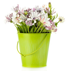 bouquet of beautiful summer flowers in bucket, isolated on