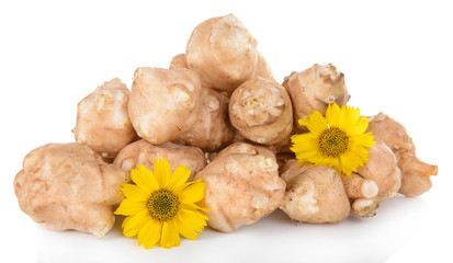 Topinambur roots isolated on white