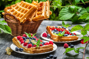 Waffles with fresh collected berry fruit