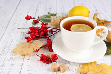 Cup of tea with lemon close up