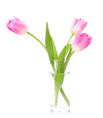 Pink tulips bouquet in vase isolated on white background