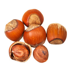 several of hazelnuts close up