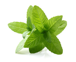 Mint leaves