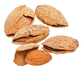 few fried almond nuts close up