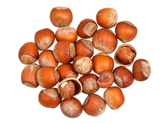 handful of hazelnuts isolated