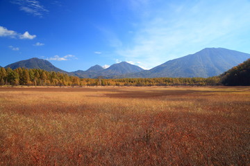 Odashiro plateau of autumn, Nikko, Japan