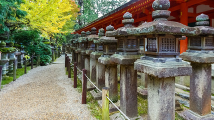 Fototapeta premium Stone lanterns at Kasuga Taisha in Nara