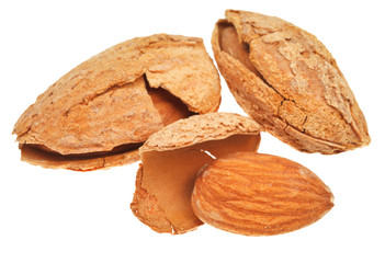 few fried almond nuts