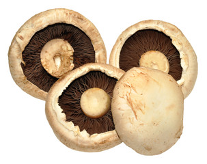 Large Flat Mushrooms