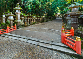 Fototapeta na wymiar Stone lanterns at Kasuga Taisha in Nara