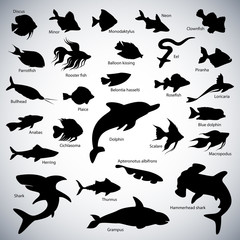 Fishes silhouettes