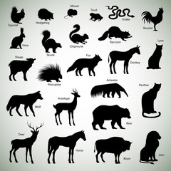 Fototapeta premium Animal silhouettes