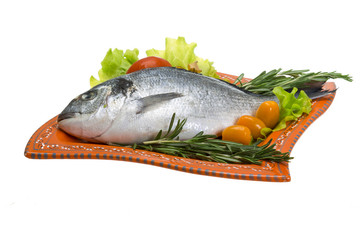 Raw dorado