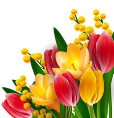 Tulips and mimosas design template