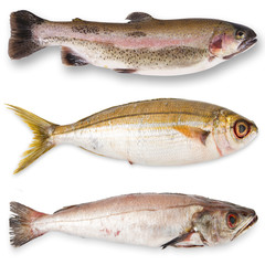 tris di pesce