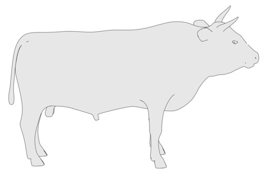 cartoon image of bull animal
