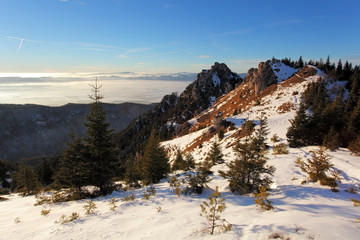 Winter sunset with forest in Slovakia