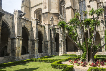 Fototapeta na wymiar Narbonne, cathedral cloister