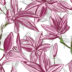 Seamless floral background with hand drawn flowers. Vector illus