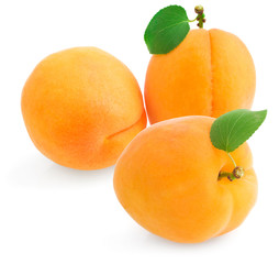 Group apricot on a white background