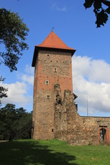 Fototapeta na wymiar Wieża zamku Chudów