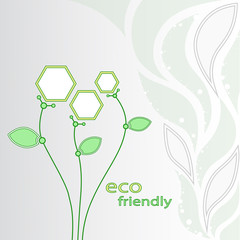 Flowers eco-friendly