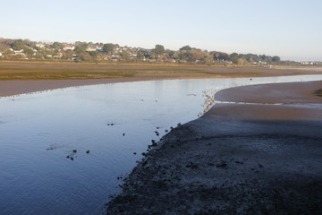 Hayle estuary RSPB reserve