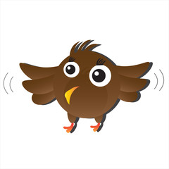 Brown Bird
