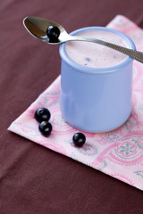Homemade yogurt with berries in a ceramic bowl