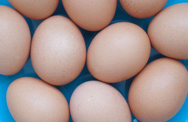 Eggs