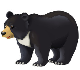 Cartoon animal - illustration for the children