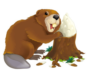 Cartoon animal - illustration for the children