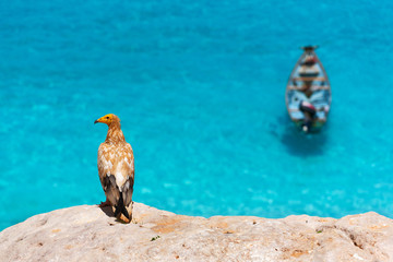 Sea landscape with a boat and a bird