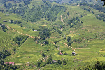 Paddy fields and village houses in mountains  in  Vietnam