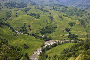 Fototapeta na wymiar Paddy fields and village houses in a valley in northern Vietnam