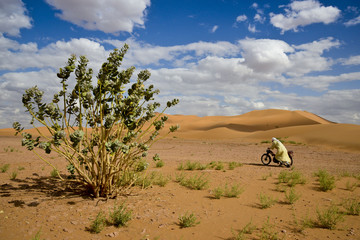 Merzouga - vita nel deserto