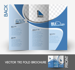 Milk Store  Tri-Fold Brochure Design.