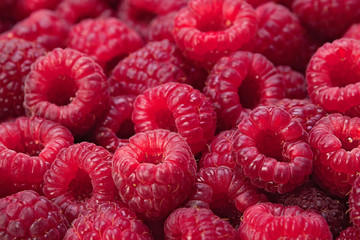 Ripe raspberry background